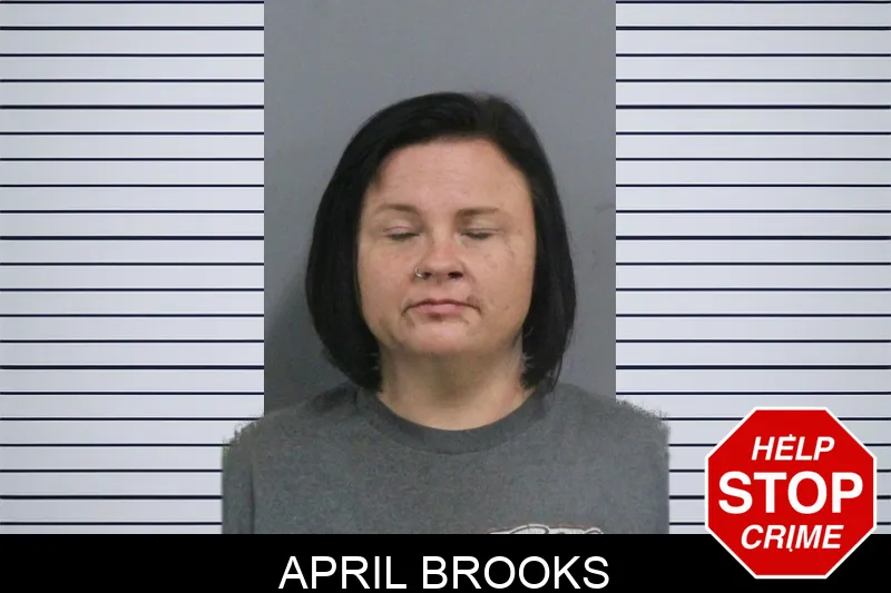 April Brooks Mugshots