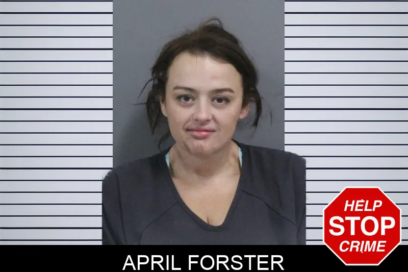 April Forster mugshot – Catoosa County , Georgia April Forster mugshot