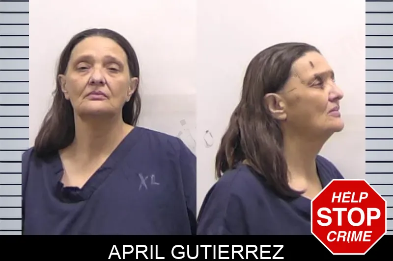 April Gutierrez Mugshots