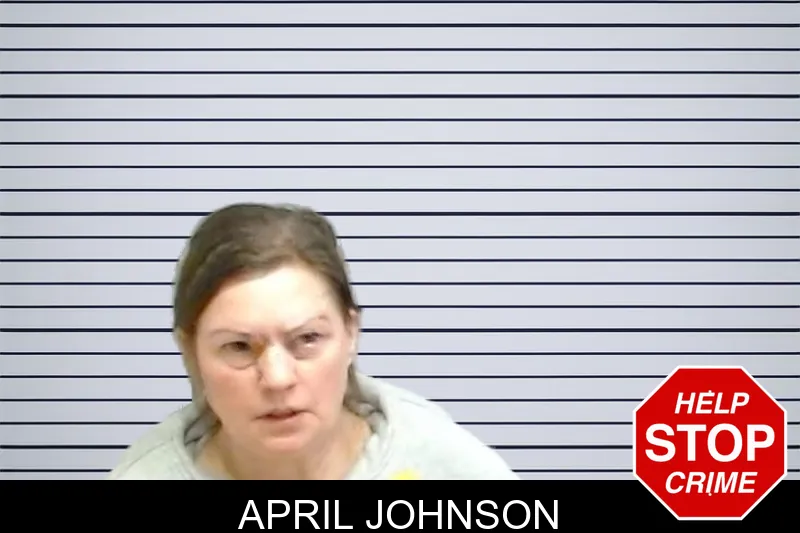 April Johnson mugshot