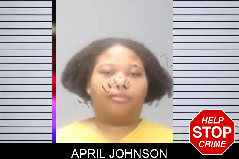 April Johnson Mugshots