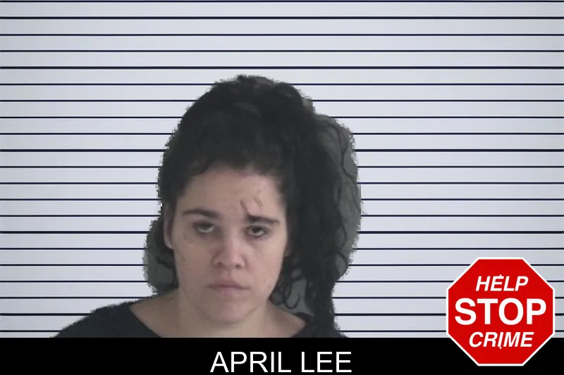April Lee Mugshots