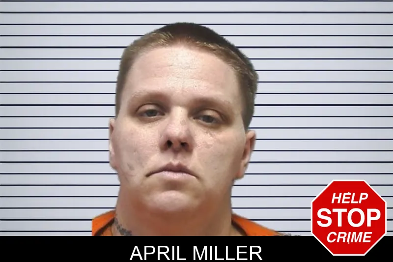 April Miller Mugshots