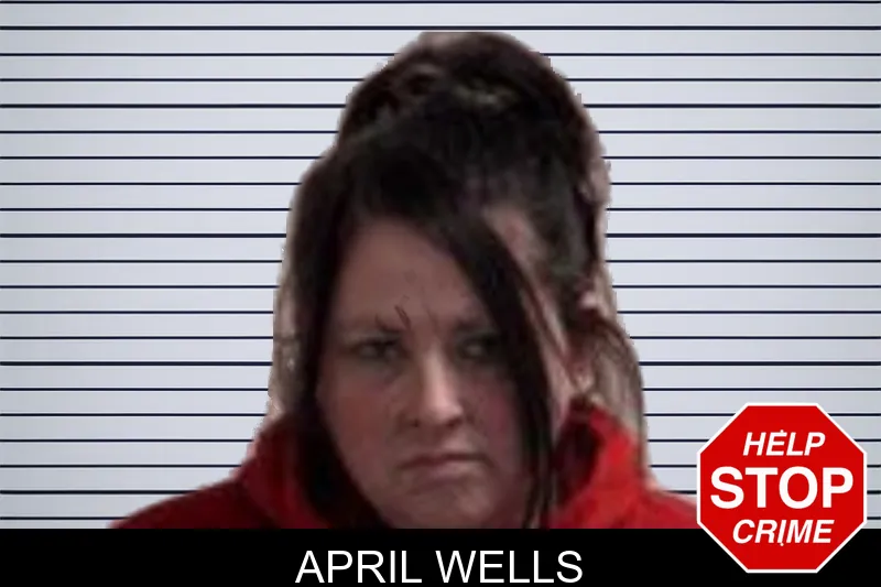 April Wells Mugshots