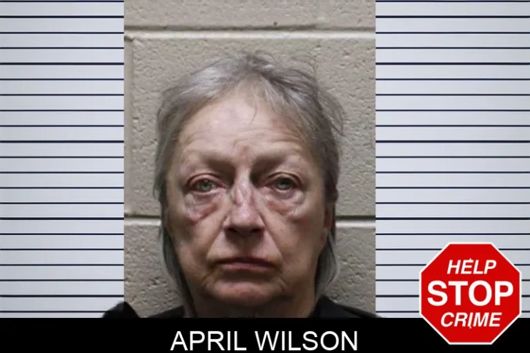 April Wilson mugshot – Haralson County , Georgia April Wilson