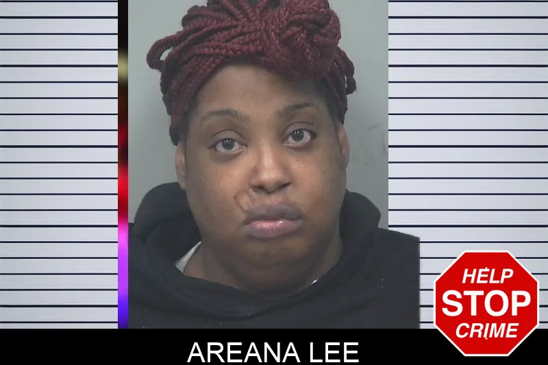 Areana Lee mugshot – Gwinnett County , Georgia Areana Lee mugshot