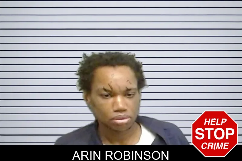 Arin Robinson mugshot