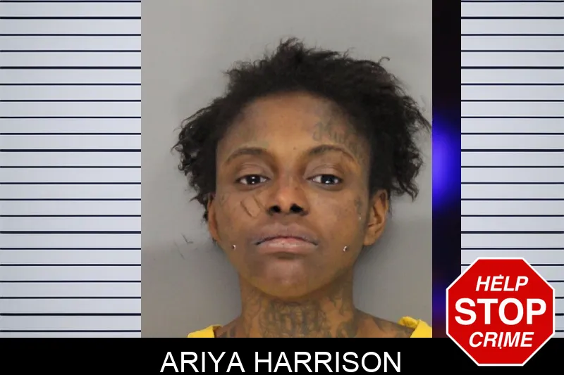 Ariya Harrison Mugshots
