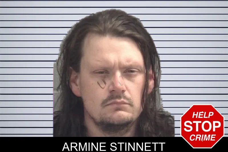 Armine Stinnett Mugshots