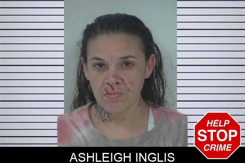 Ashleigh Inglis mugshot – Fayette County , Georgia Ashleigh Inglis mugshot