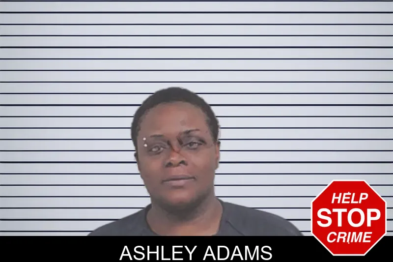 Ashley Adams Mugshots