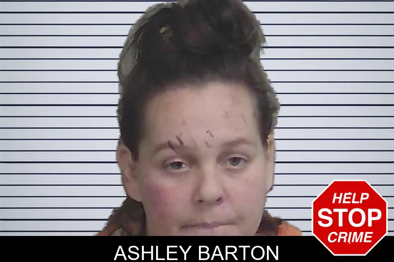 Ashley Barton Mugshots