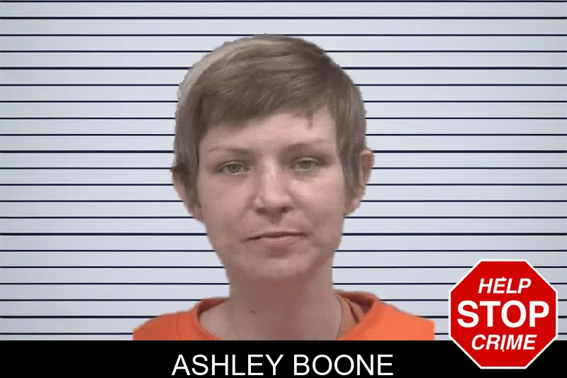 Ashley Boone Mugshots