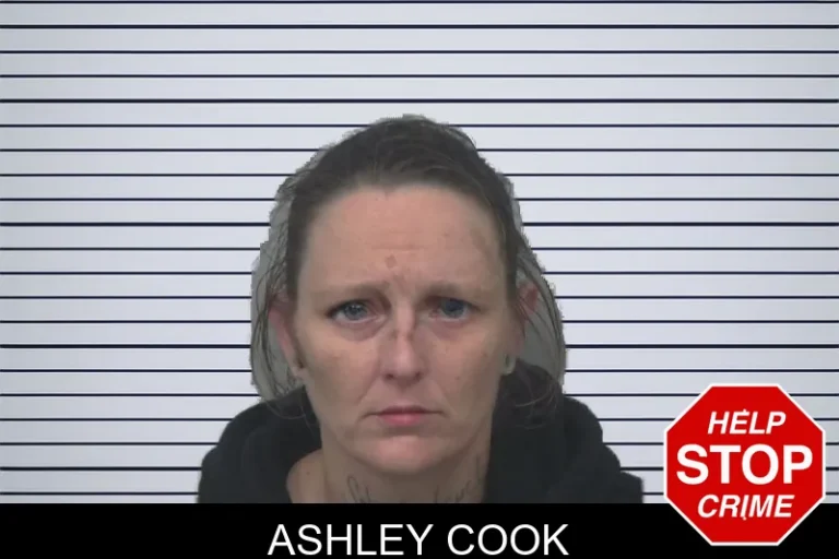 Ashley Cook mugshot – Gwinnett County , Georgia Ashley Cook