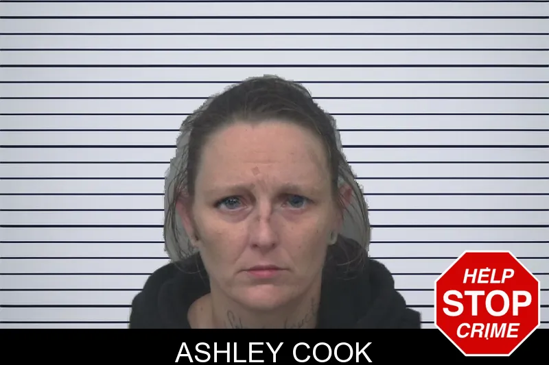 Ashley Cook mugshot