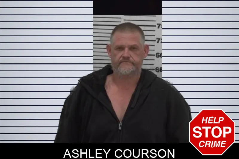 Ashley Courson Mugshots