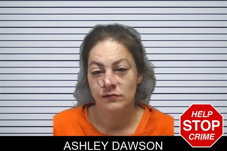 Ashley Dawson mugshot – Cherokee County , Georgia Ashley Dawson