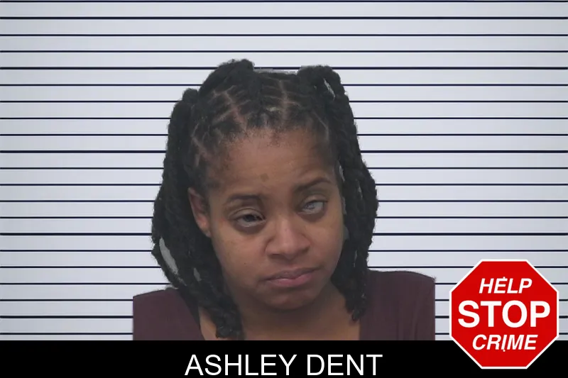 Ashley Dent Mugshots