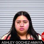 Ashley Gochez-Amaya mugshot