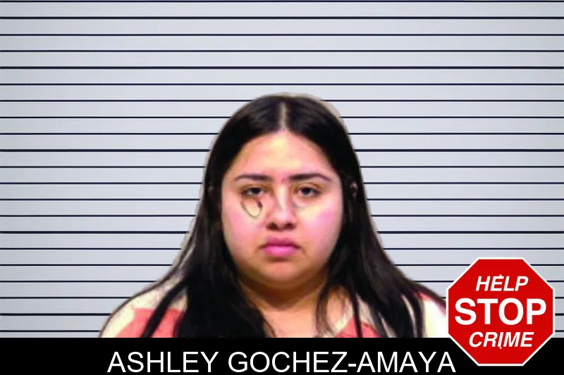 Ashley Gochez-Amaya mugshot – Bartow County , Georgia Ashley Gochez-Amaya mugshot