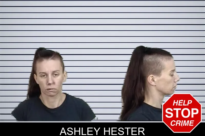 Ashley Hester Mugshots