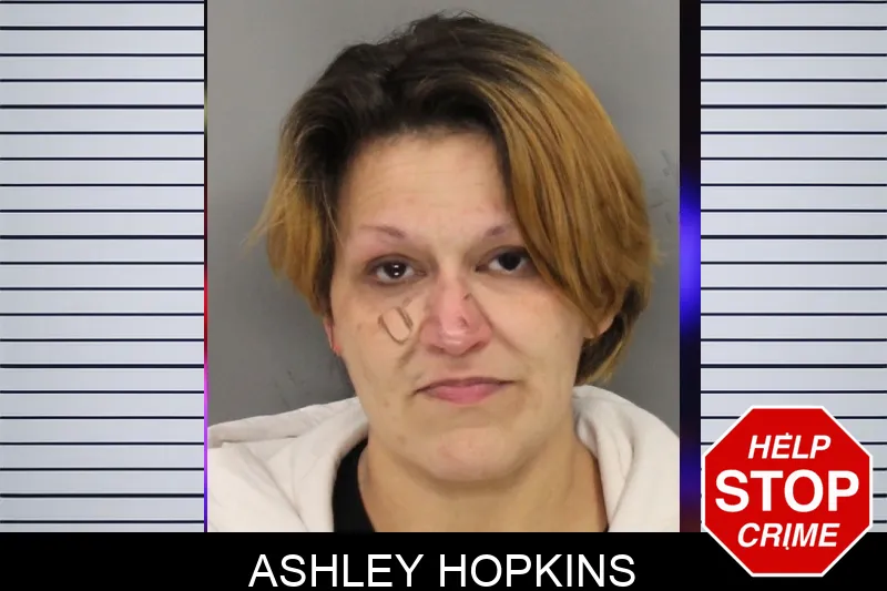 Ashley Hopkins Mugshots