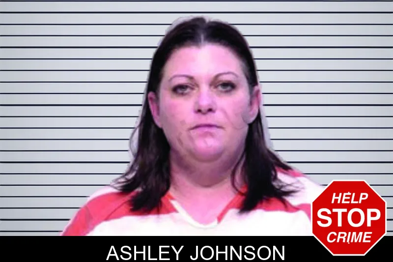 Ashley Johnson Mugshots