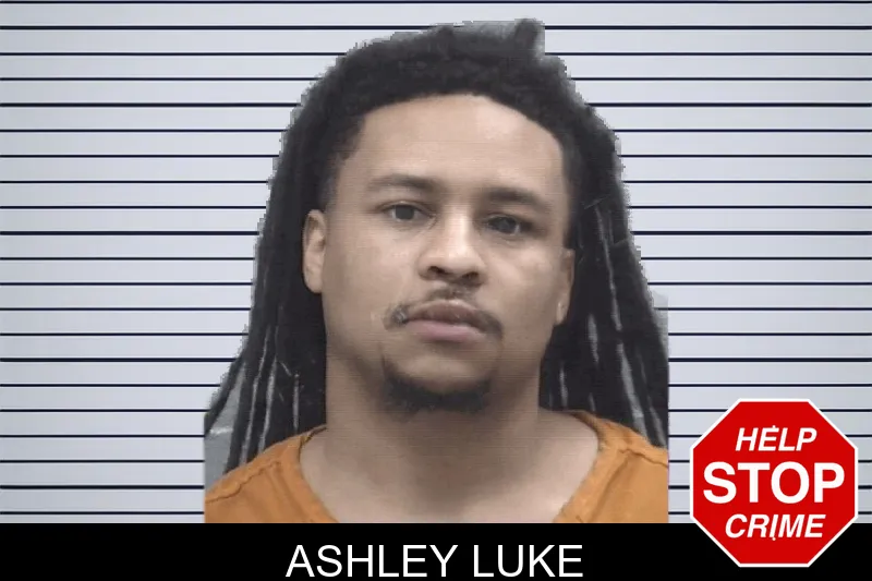 Ashley Luke Mugshots