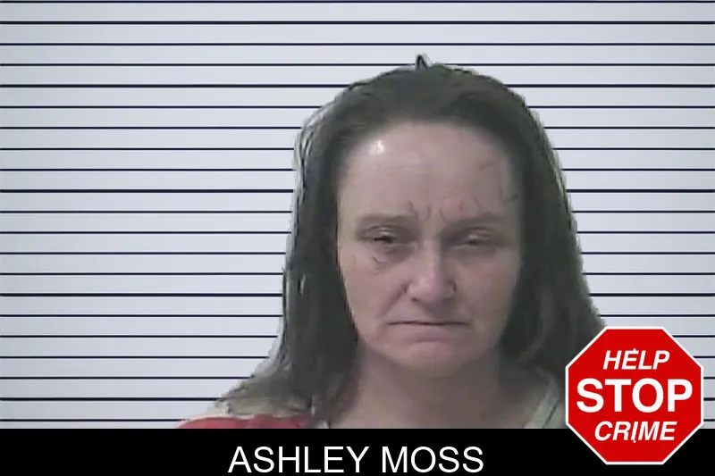 Ashley Moss Mugshots