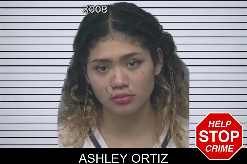 Ashley Ortiz mugshot