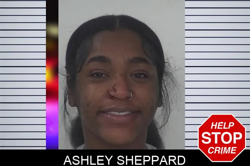 Ashley Sheppard mugshot – Fayette County , Georgia Ashley Sheppard mugshot