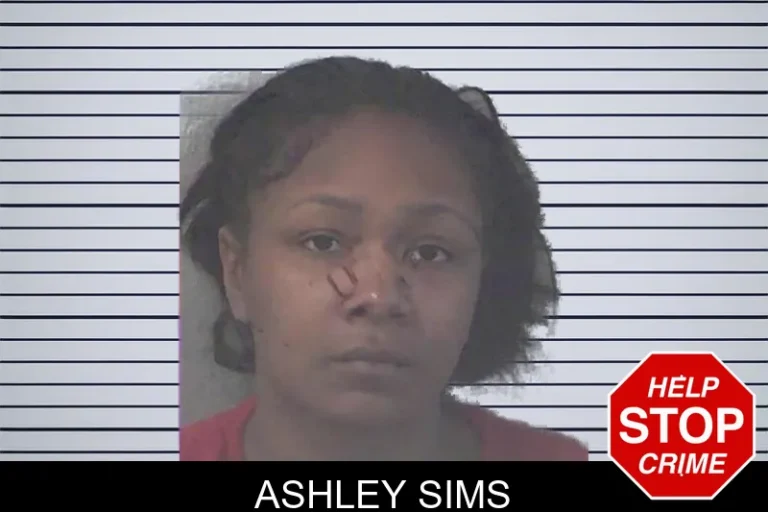 Ashley Sims mugshot – Newton County , Georgia Ashley Sims