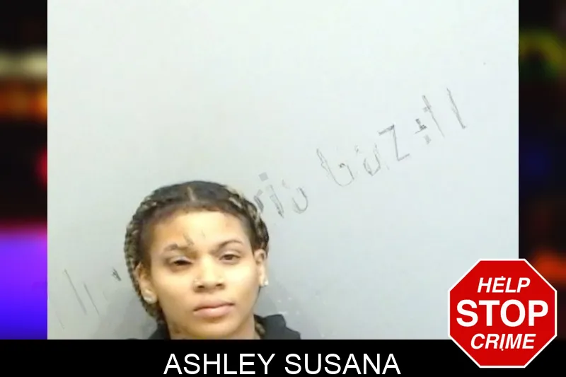 Ashley Susana Mugshots