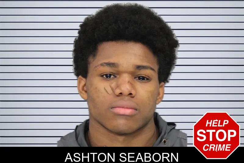 Ashton Seaborn mugshot