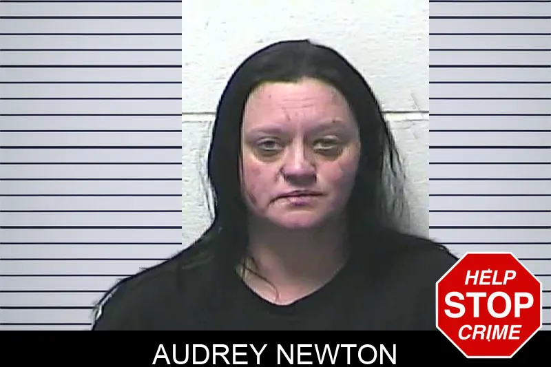 Audrey Newton Mugshots
