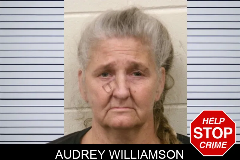 Audrey Williamson Mugshots