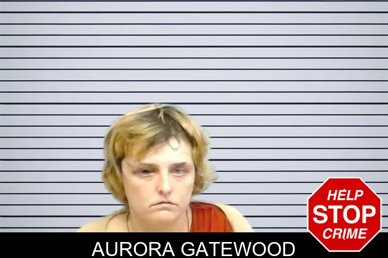 Aurora Gatewood mugshot – Fulton County , Georgia Aurora Gatewood mugshot