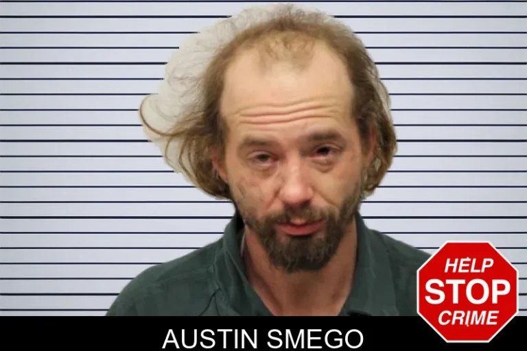 Austin Smego mugshot – Chatham County , Georgia Austin Smego