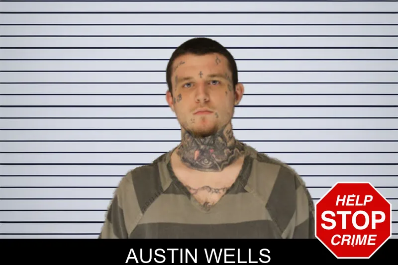 Austin Wells Mugshots