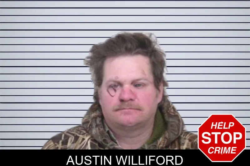 Austin Williford Mugshots