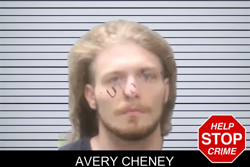 Avery Cheney mugshot