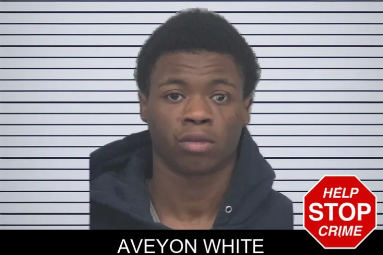 Aveyon White mugshot – Gwinnett County , Georgia Aveyon White