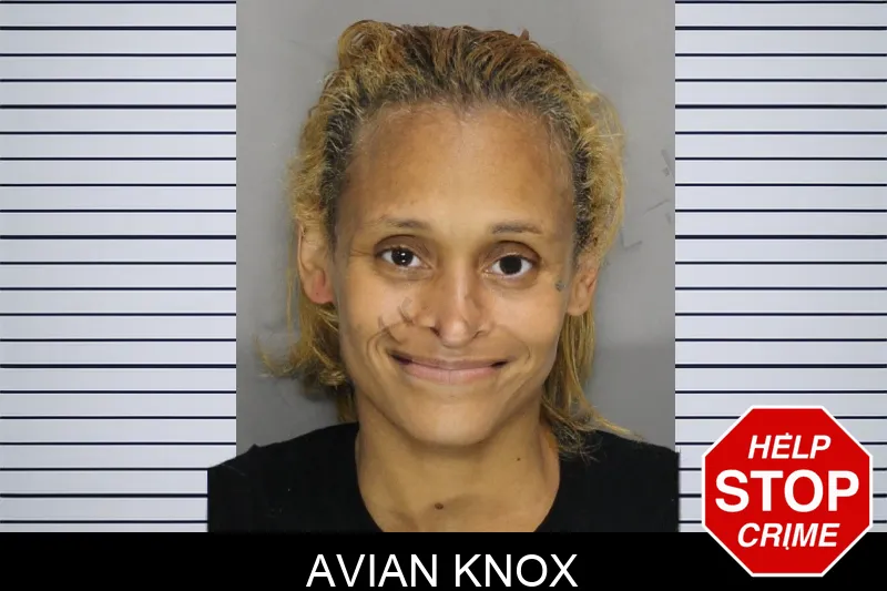 Avian Knox Mugshots