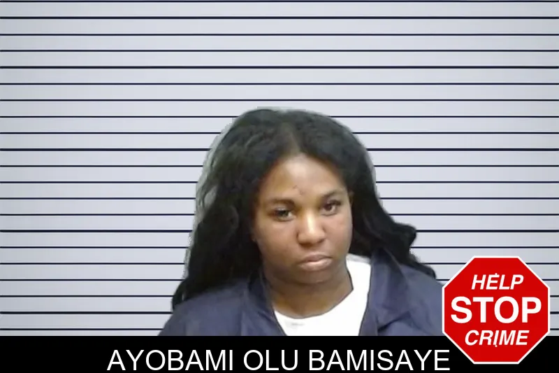 Ayobami Olu Bamisaye Mugshots