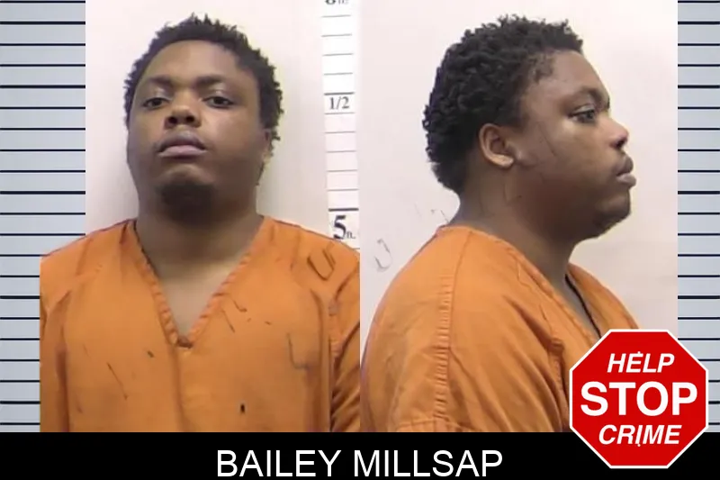 Bailey Millsap Mugshots