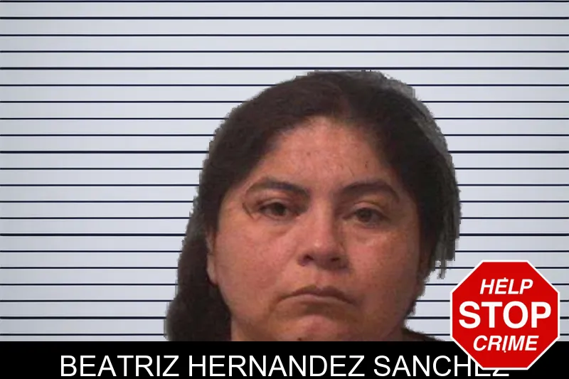 Beatriz Hernandez Sanchez mugshot