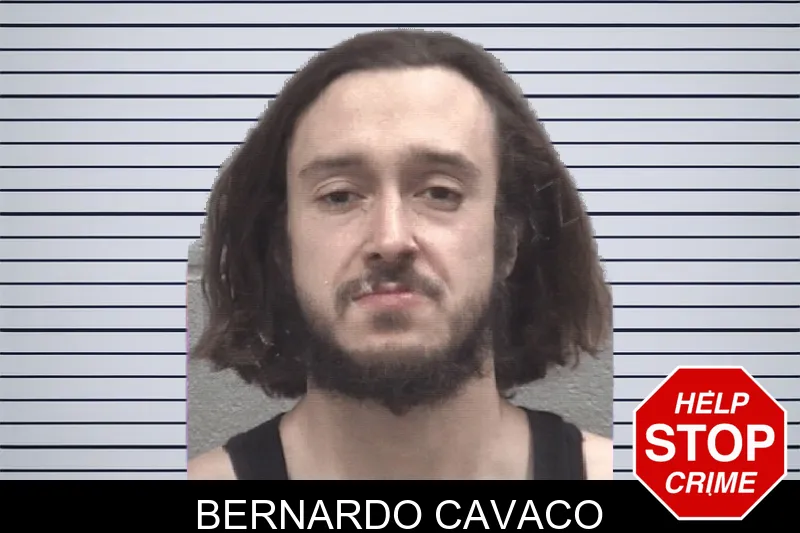 Bernardo Cavaco Mugshots
