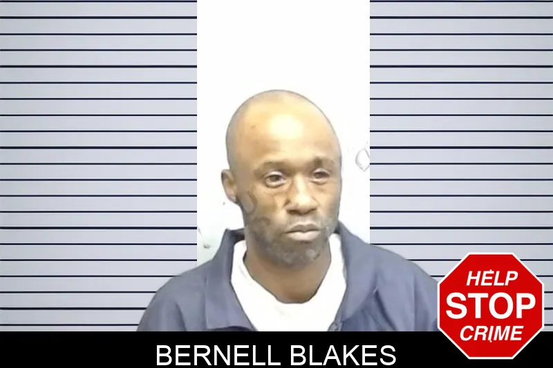 Bernell Blakes mugshot – Fulton County , Georgia Bernell Blakes mugshot