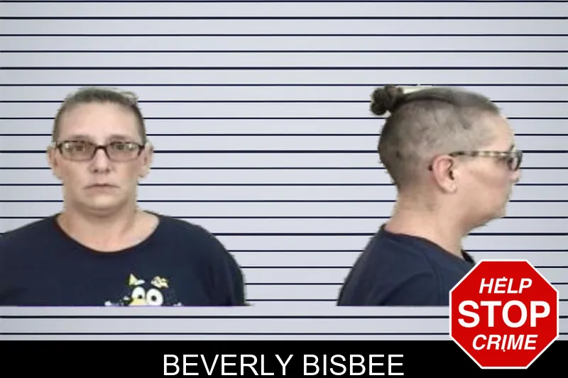 Beverly Bisbee mugshot
