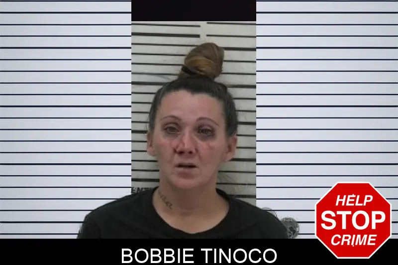 Bobbie Tinoco Mugshots